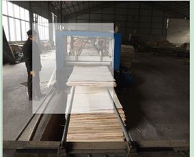 公司介紹 臨沂市蘭山區(qū)嘉坤板材廠